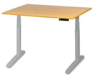 Ergo Depot Jarvis Standing Desk with Bamboo Top